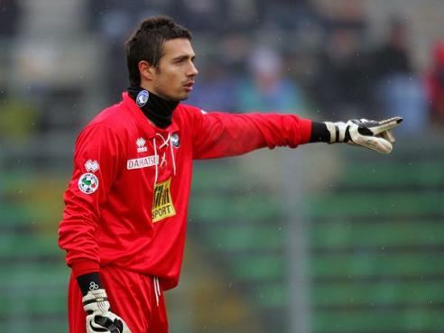 纪律性的低 纪律性的低