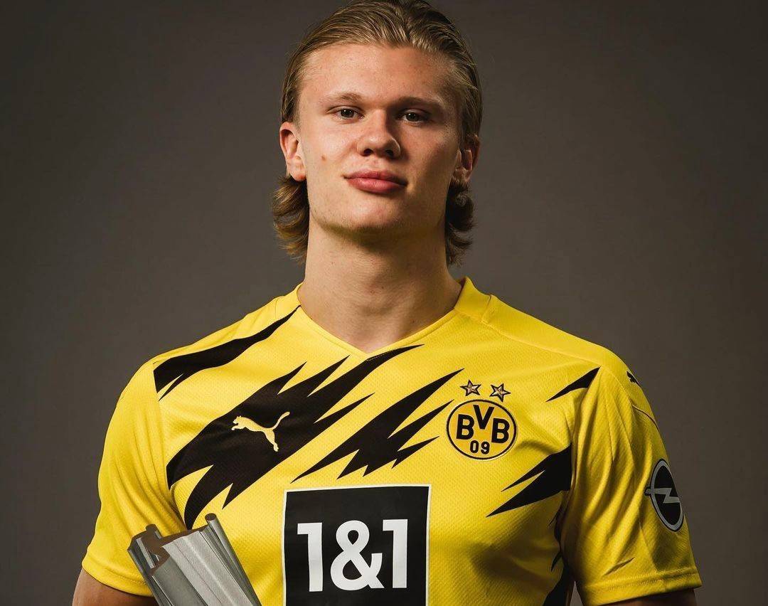 从版本理解 从版本理解